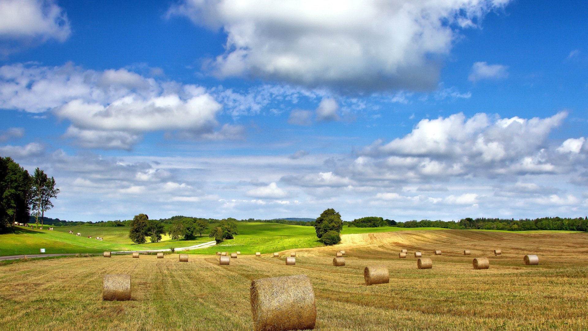 campo heno verano naturaleza paisaje
