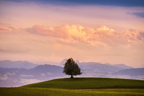 Paisaje de montaña. Hermosas nubes