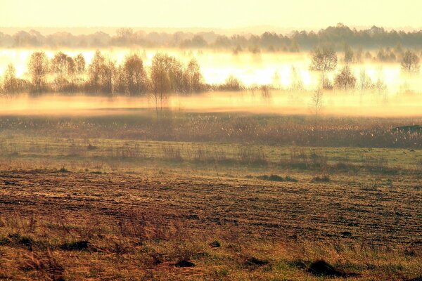 Paisaje de campo en la niebla de la mañana