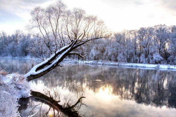 Paisaje maravilloso de invierno