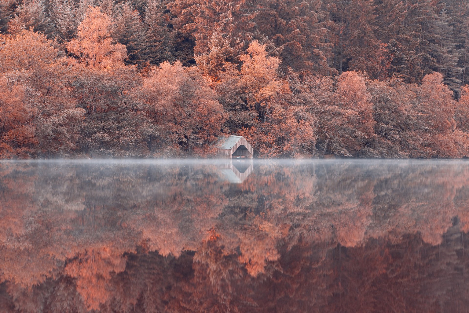 pendiente bosque árboles lago reflexión