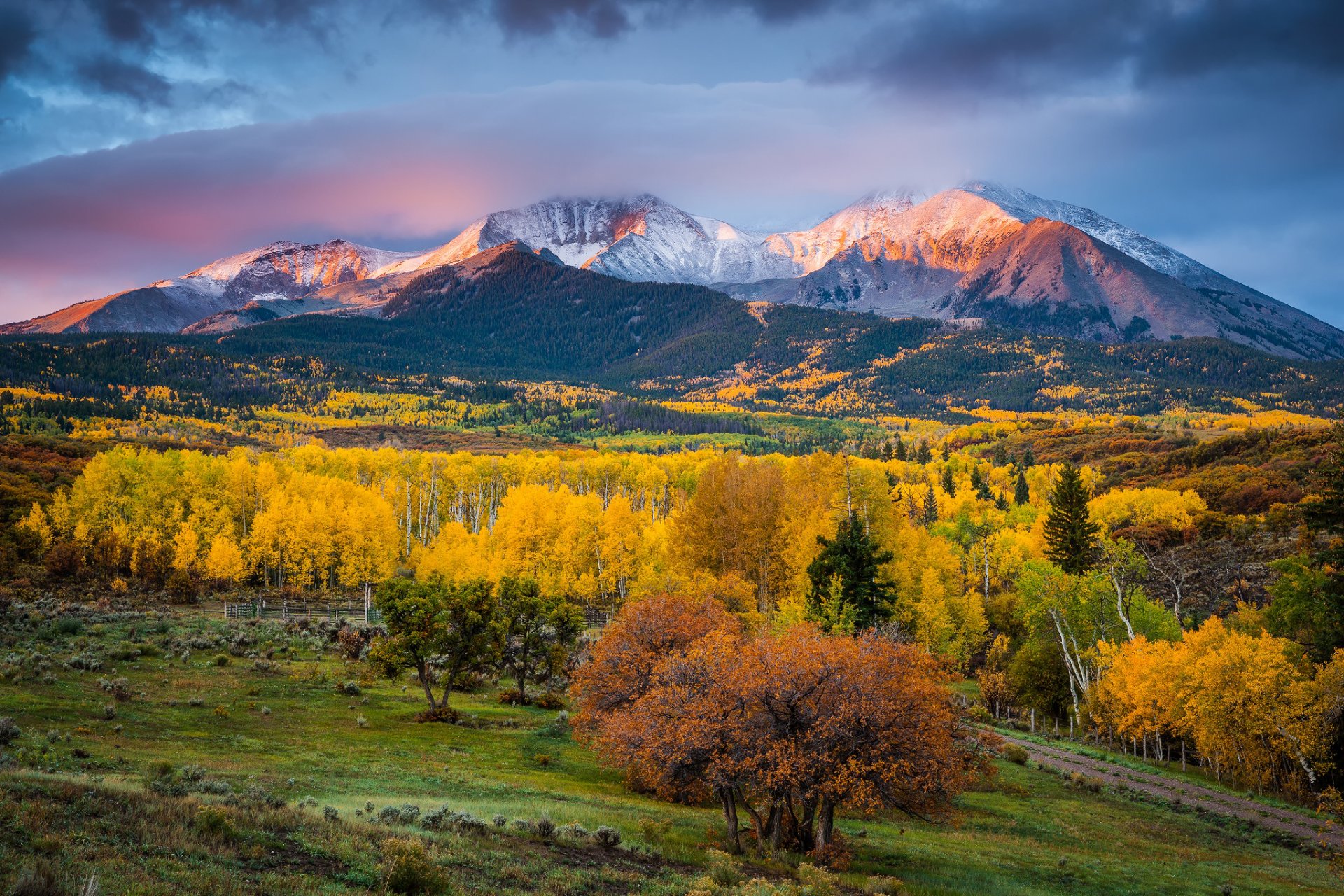 estados unidos estado colorado otoño montañas montaña sopris mañana luz árboles pintura