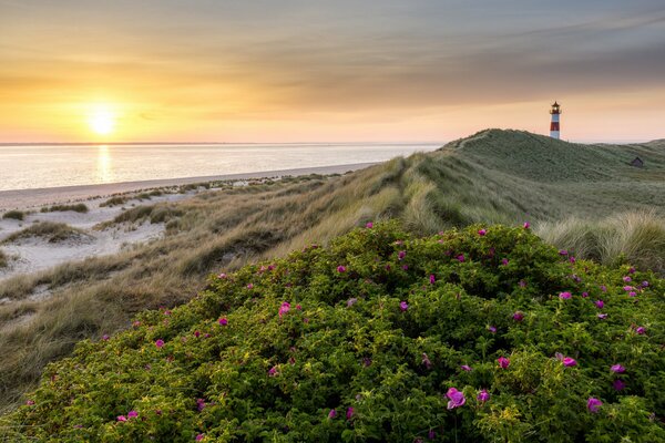 Amanecer sobre el mar