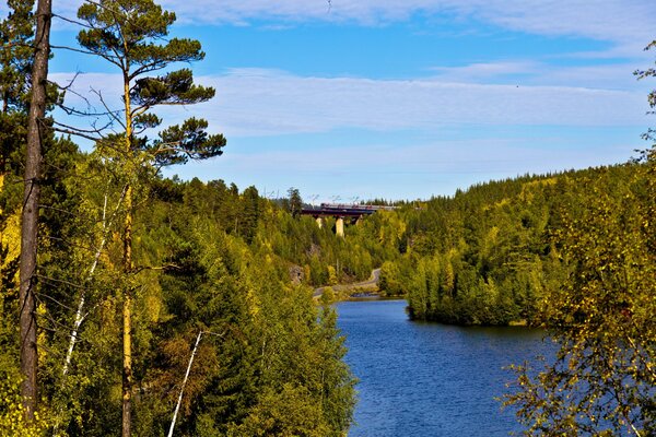 Río a lo largo del bosque, con vistas al ferrocarril
