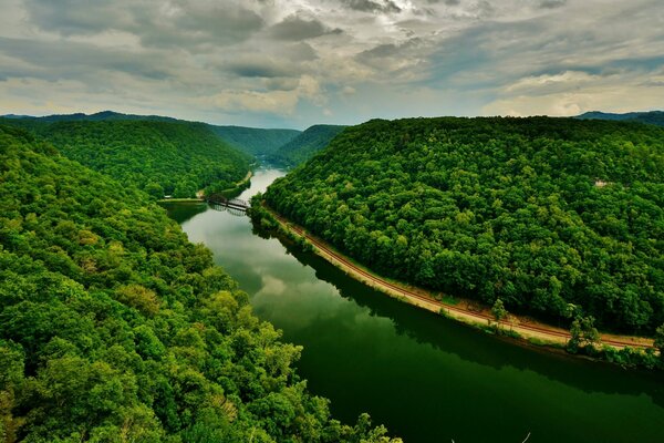Un amplio río fluye a través del bosque