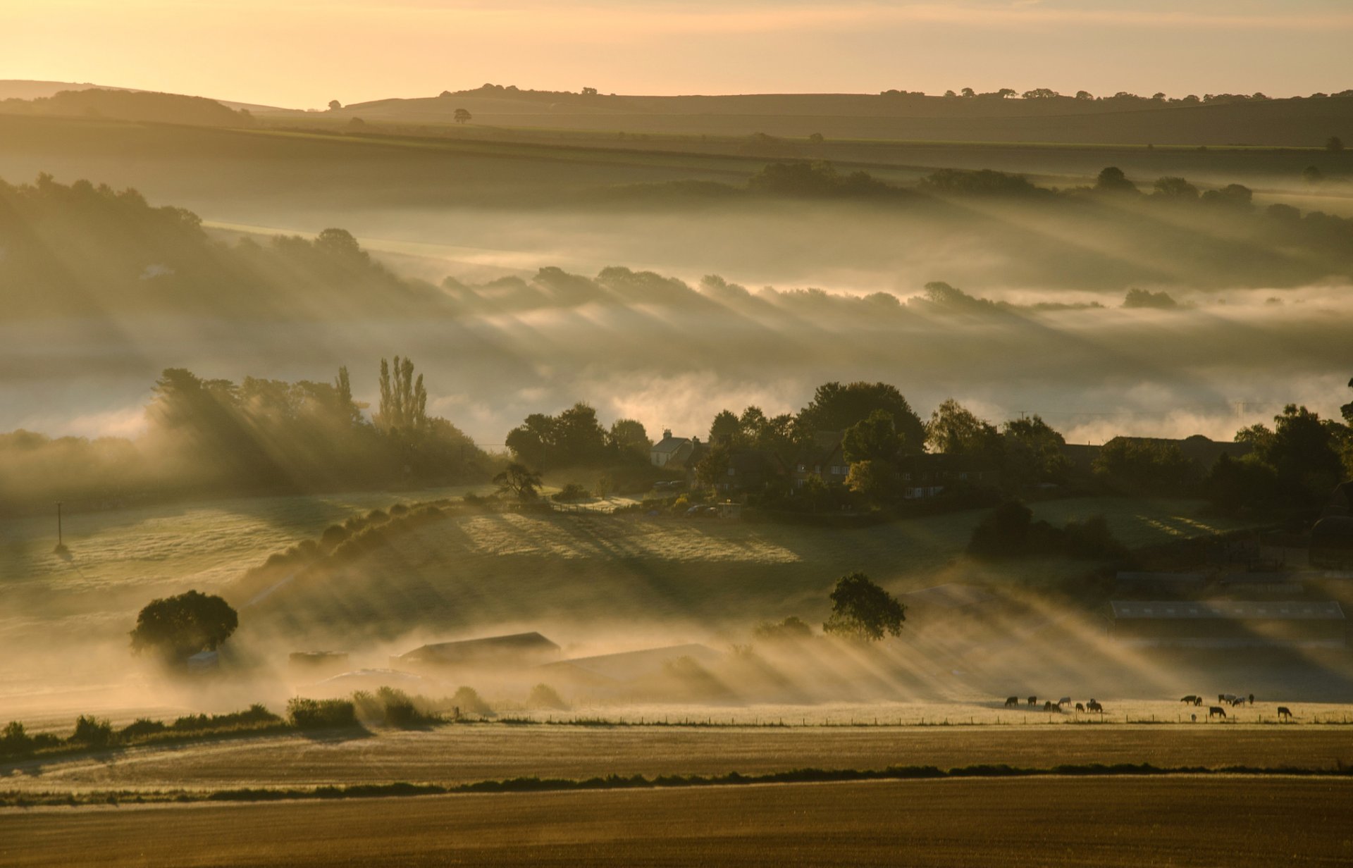 cielo mañana colinas niebla campo árboles