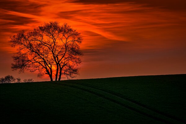 Imagen del paisaje en el fondo de la puesta de sol