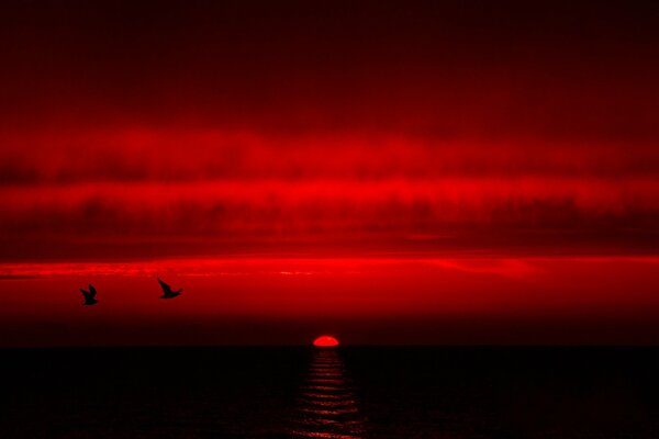 Paisaje rojo brillante y aves