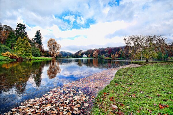 Inglaterra Wiltshire estanque y árboles