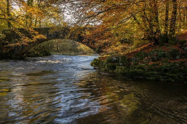 Puente sobre el río en otoño