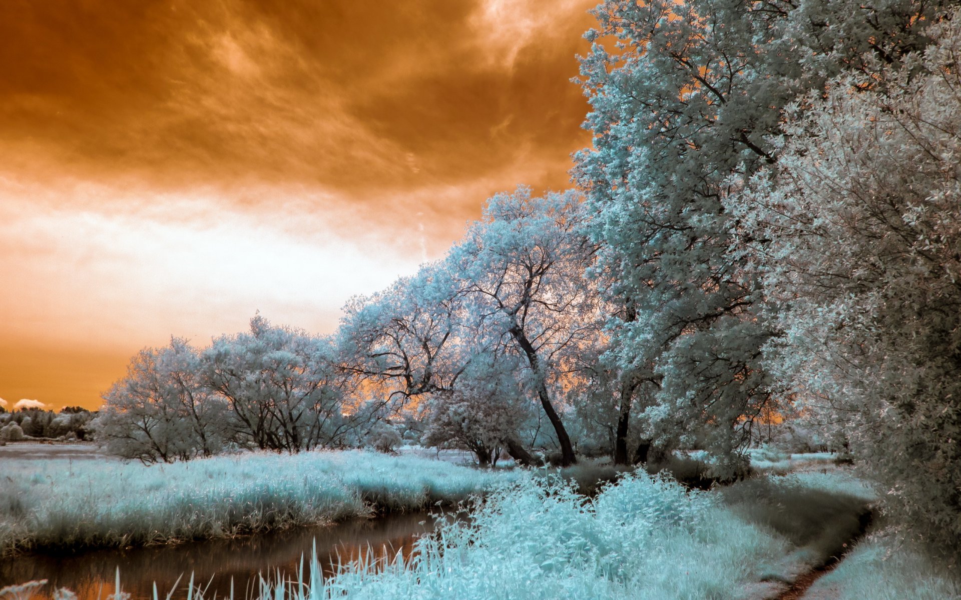 río naturaleza paisaje