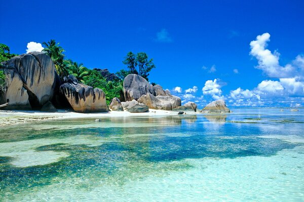 Playa tropical con piedras