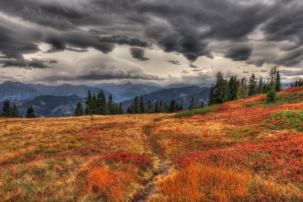 Estado de ánimo otoñal. Tiempo nublado