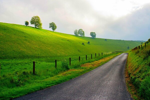 El camino que conduce a las montañas más allá de los árboles