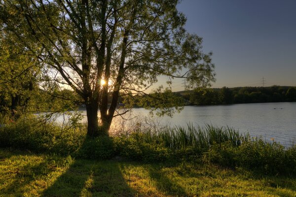 Amanecer en el lago con brillantes rayos de sol