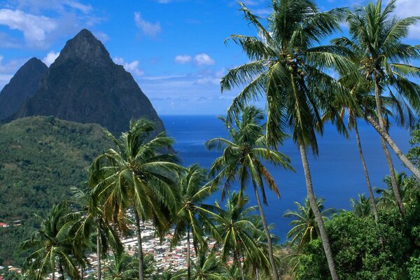 Monte pitón del Caribe en Santa Lucía