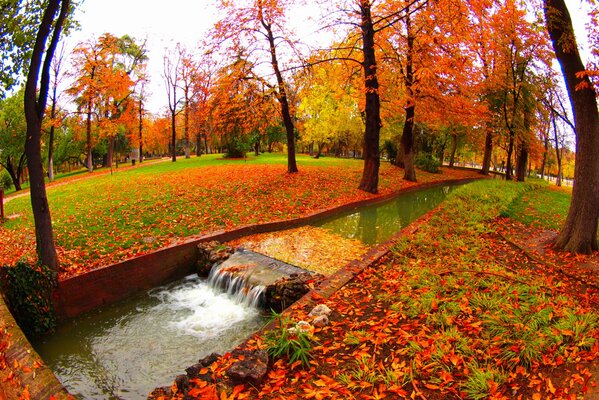 Arroyo en el parque de otoño