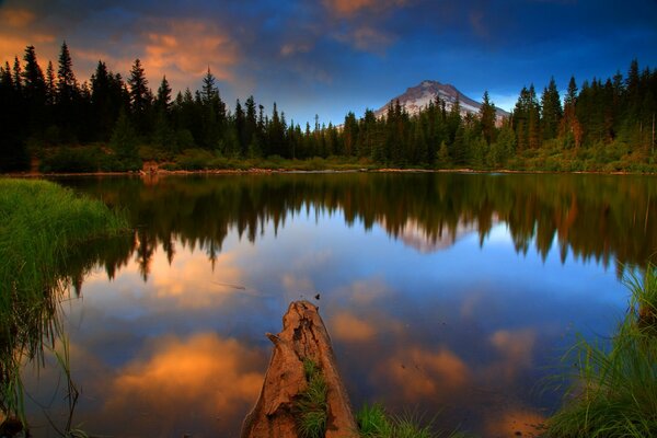 Un lago en medio de un bosque en los Estados Unidos