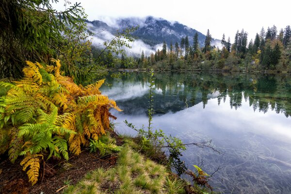 La asombrosa belleza de la naturaleza de Suiza